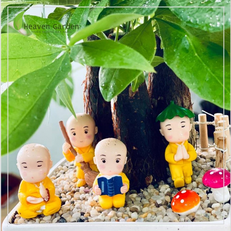 Kim Ngân 3 gốc