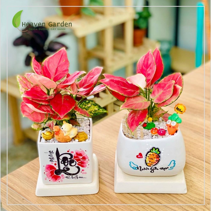Vạn Lộc đỏ