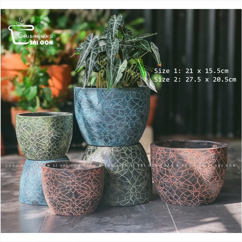 Chậu wax màu cao cấp
