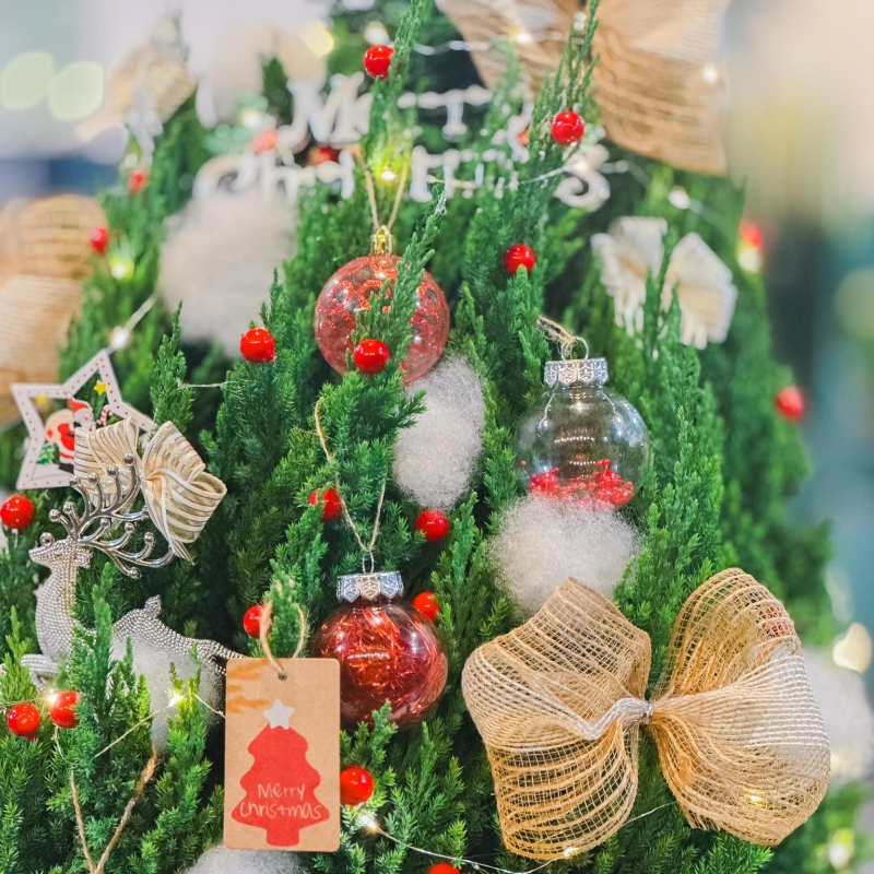 Cây Thông Noel