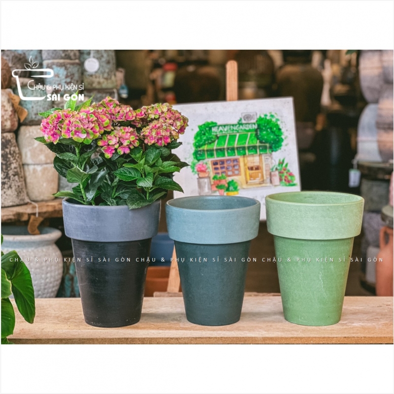 Chậu wax màu cao cấp