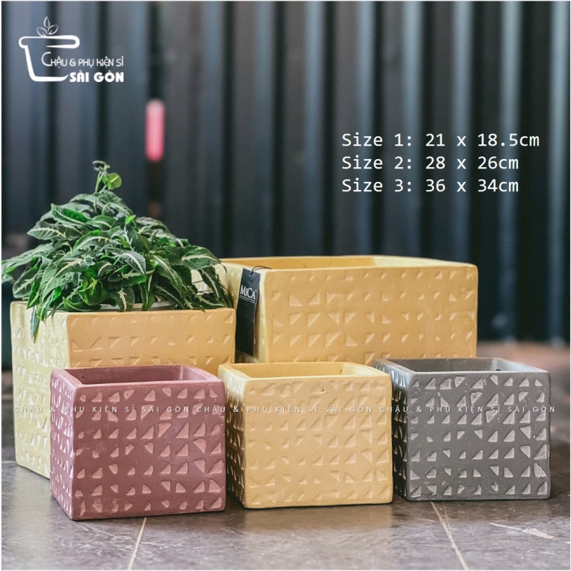 Chậu wax màu cao cấp