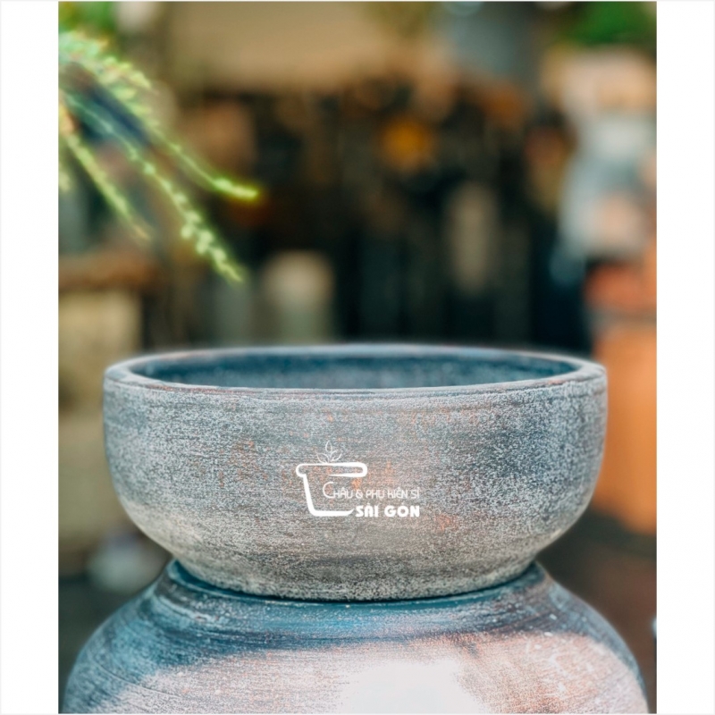 Chậu wax màu cao cấp