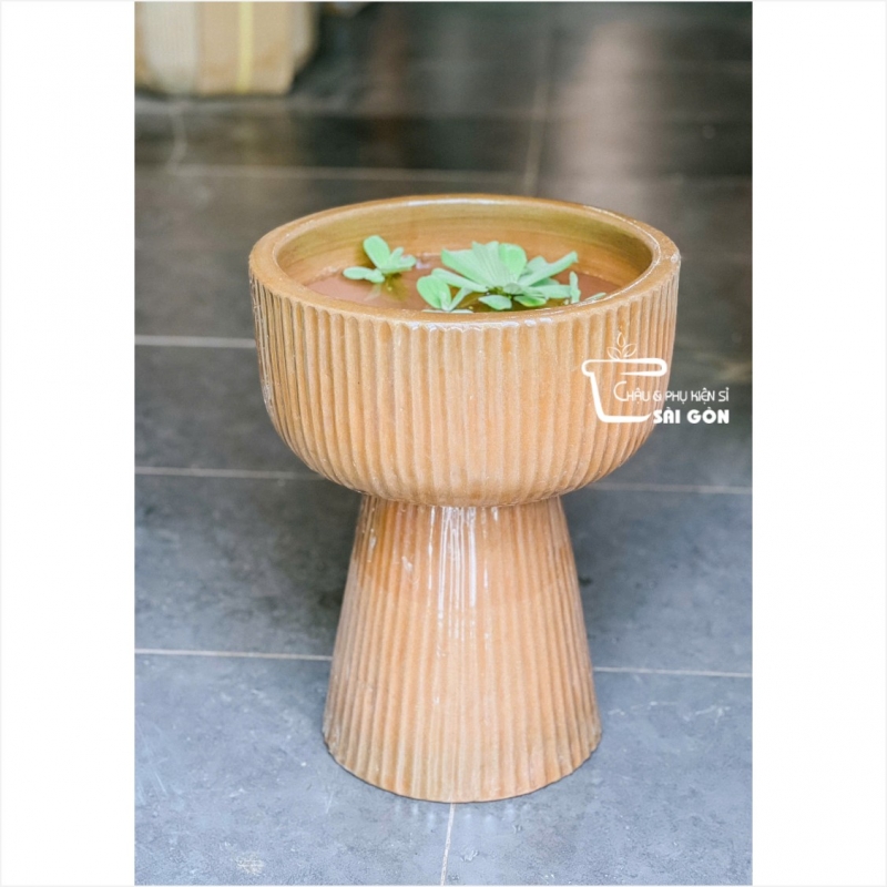 Chậu wax màu cao cấp