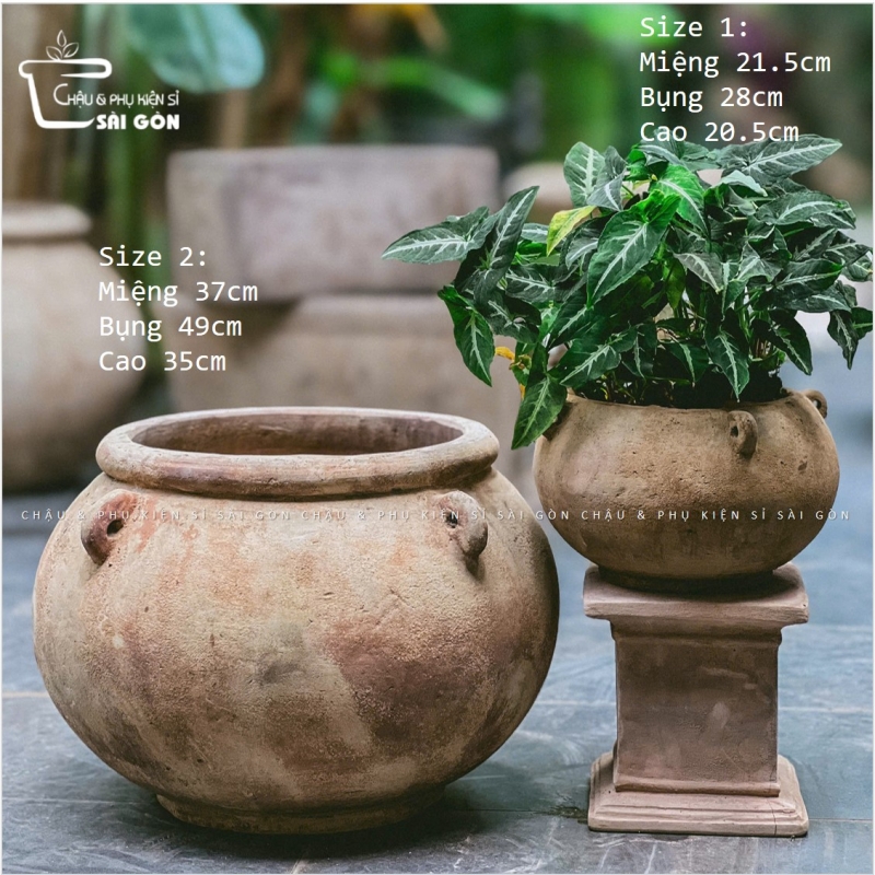 Chậu đất nung mộc