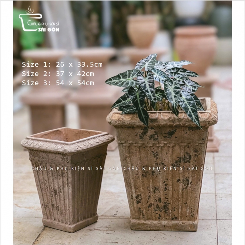 Chậu đất nung mộc