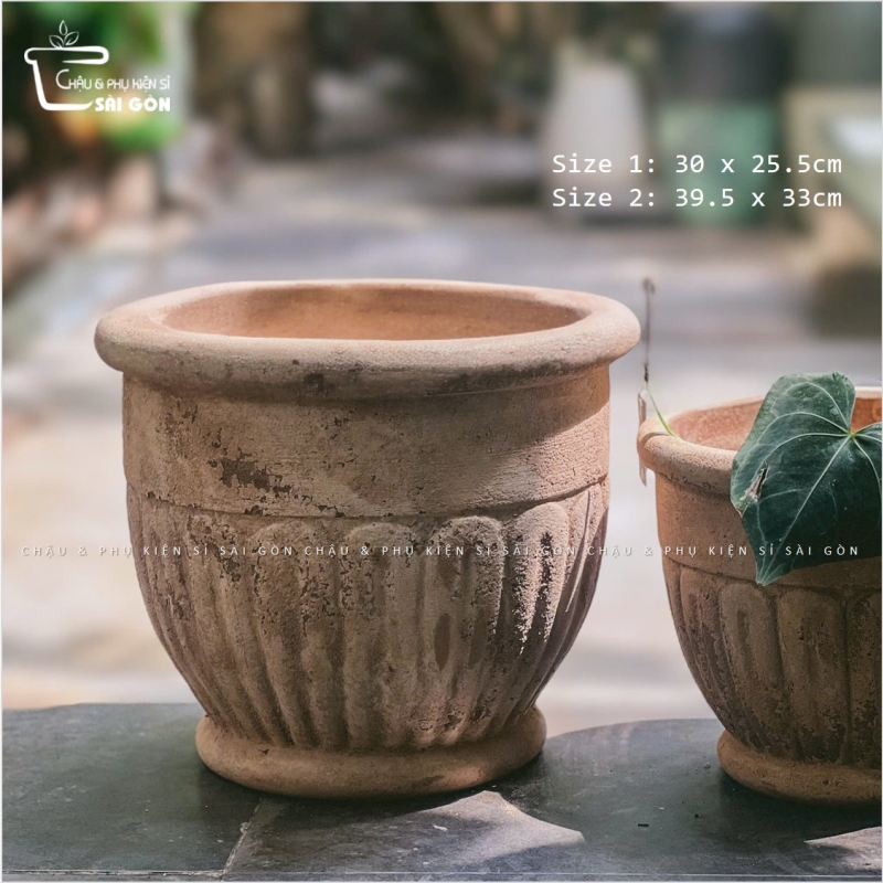 Chậu đất nung mộc