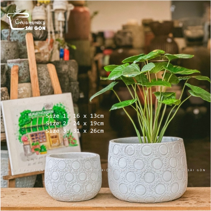 Chậu wax màu cao cấp