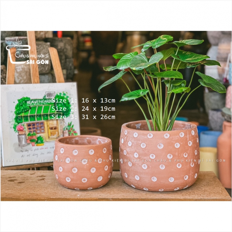 Chậu wax màu cao cấp