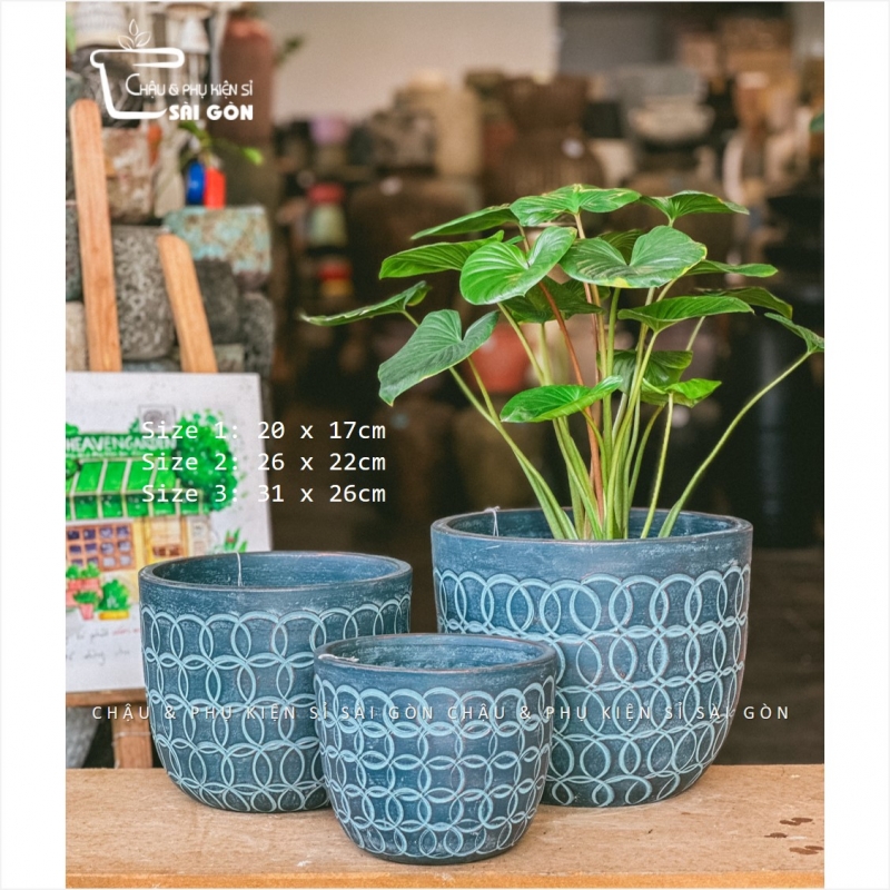 Chậu wax màu cao cấp