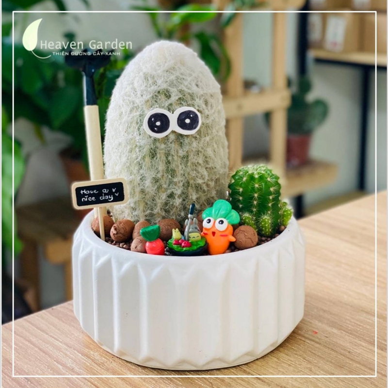 Xương rồng Ông Già Tuyết