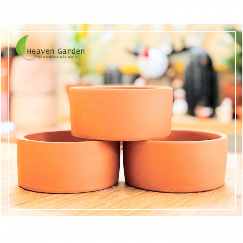 Chậu đất nung