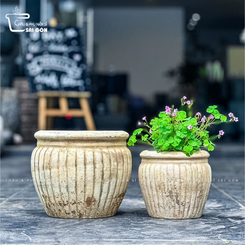 Chậu đất nung mộc
