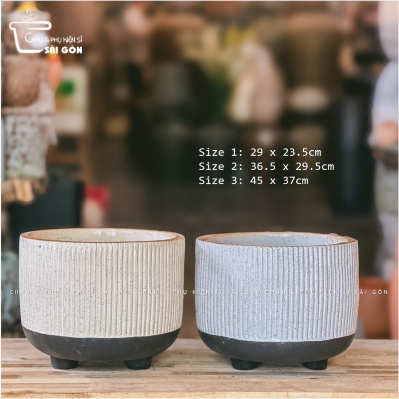 Chậu wax màu cao cấp