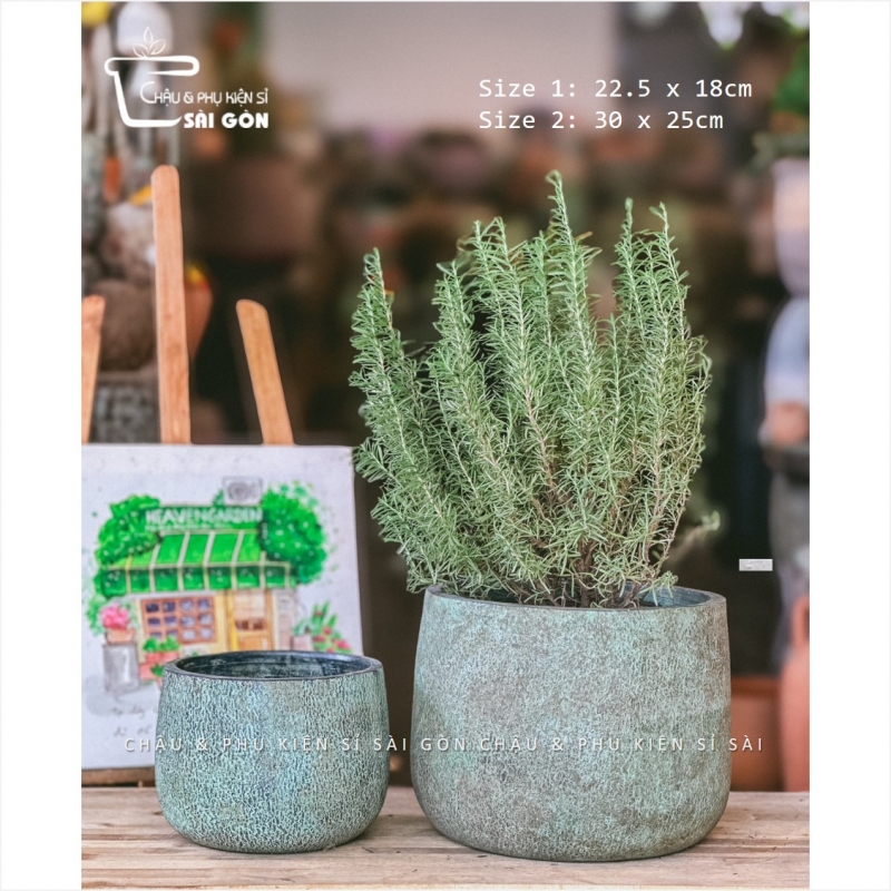 Chậu wax màu cao cấp