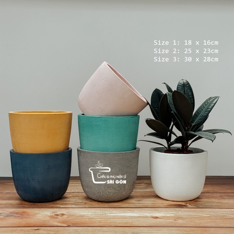 Chậu wax màu cao cấp