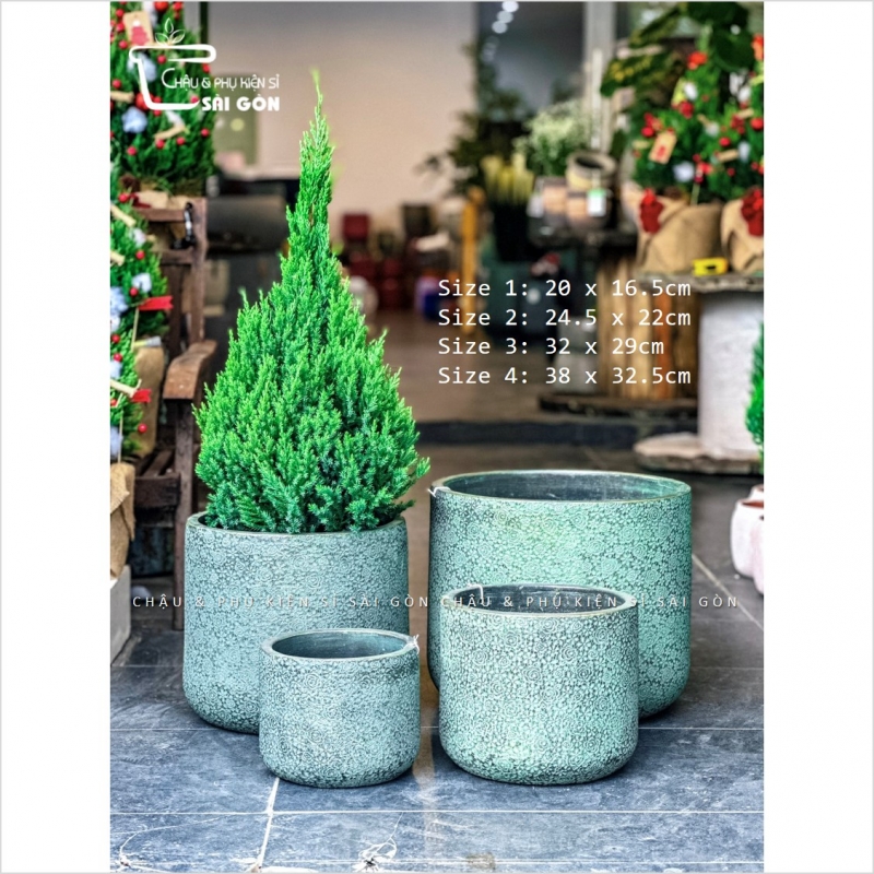 Chậu wax màu cao cấp