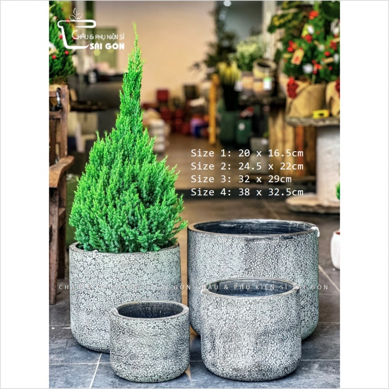 Chậu wax màu cao cấp