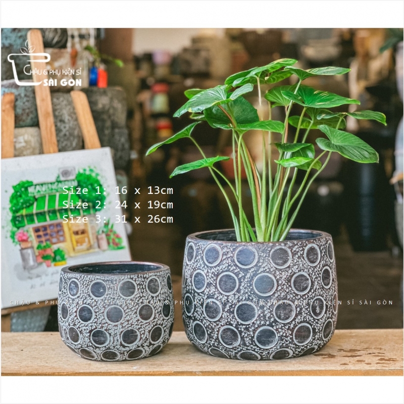 Chậu wax màu cao cấp