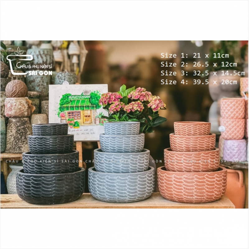 Chậu wax màu cao cấp