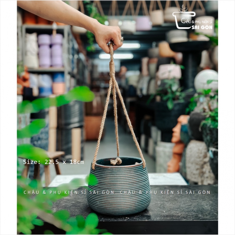 Chậu wax màu cao cấp