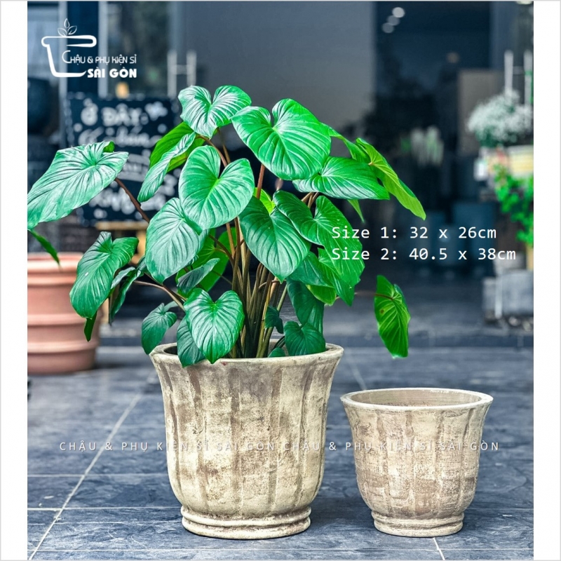 Chậu đất nung mộc